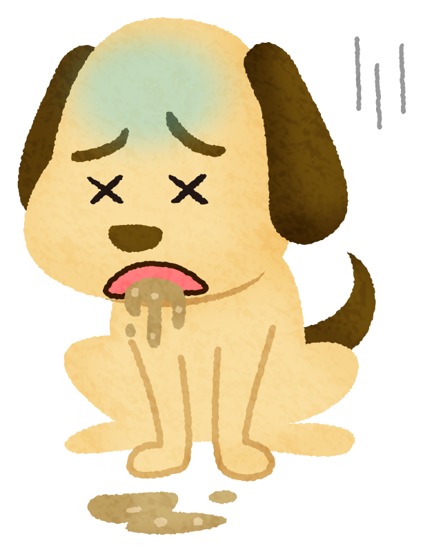 夏季に増加する犬の嘔吐症状